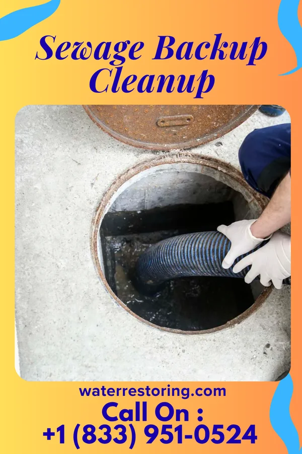 Sewage Backup Cleanup in Fairfield, TN